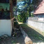 SECENJE DRVECA I GRANA VOZDOVAC